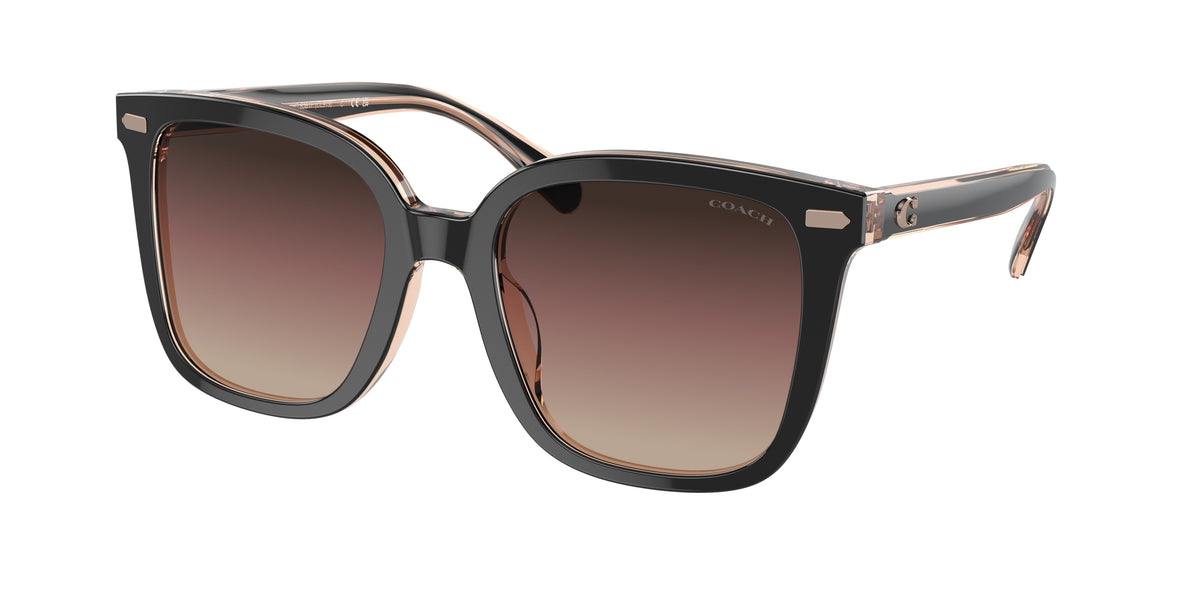 Coach HC8381F Black Sunglasses