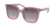 Coach HC8381F Transparent Rose/Blush Sunglasses