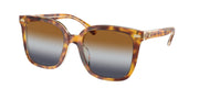 Coach HC8381U Brown Sunglasses