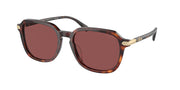 Coach HC8383U Dark Tortoise/Caramel Tortoise Sunglasses