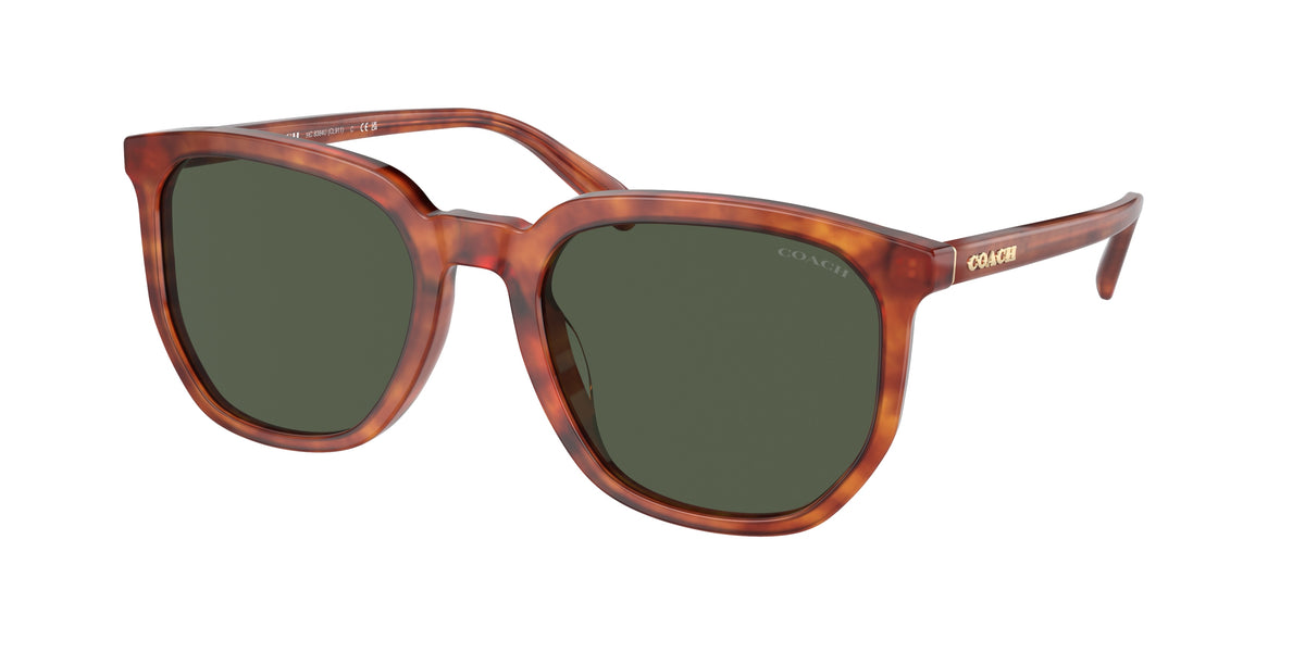 Coach HC8384U Caramel Tortoise Sunglasses