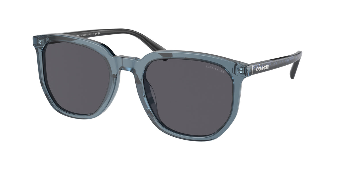 Coach HC8384U Transparent Blue Sunglasses