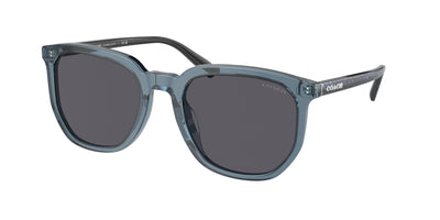Coach HC8384U Sunglasses