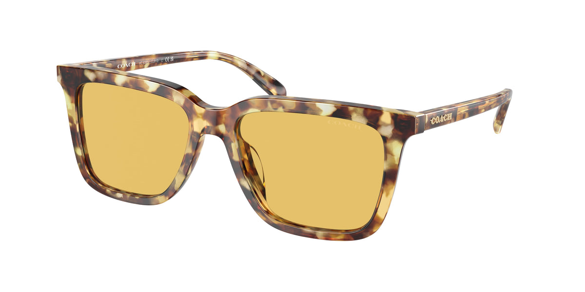 Coach HC8385U Honey Tortoise Sunglasses