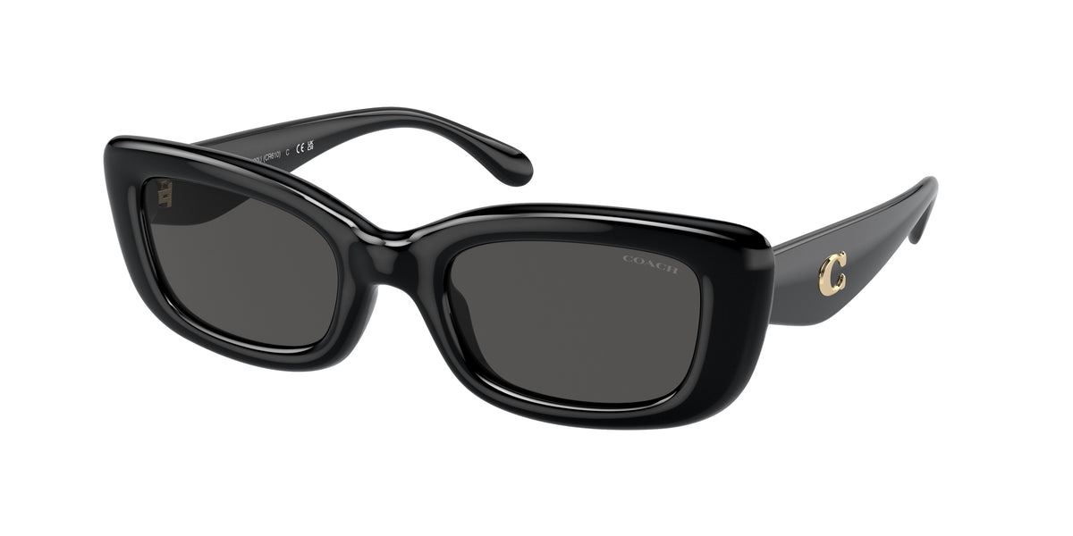 Coach HC8390U Black Sunglasses