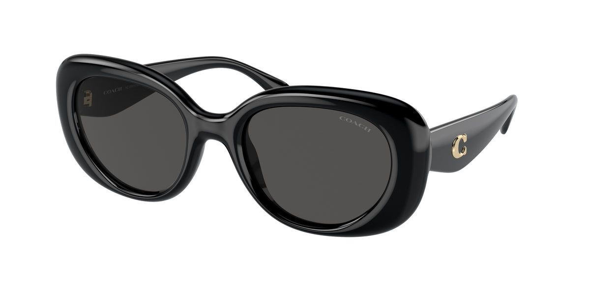 Coach HC8391U Black Sunglasses