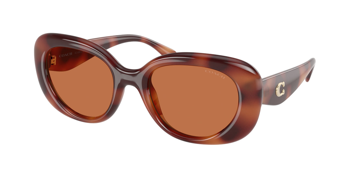 Coach HC8391U Caramel Tortoise Sunglasses