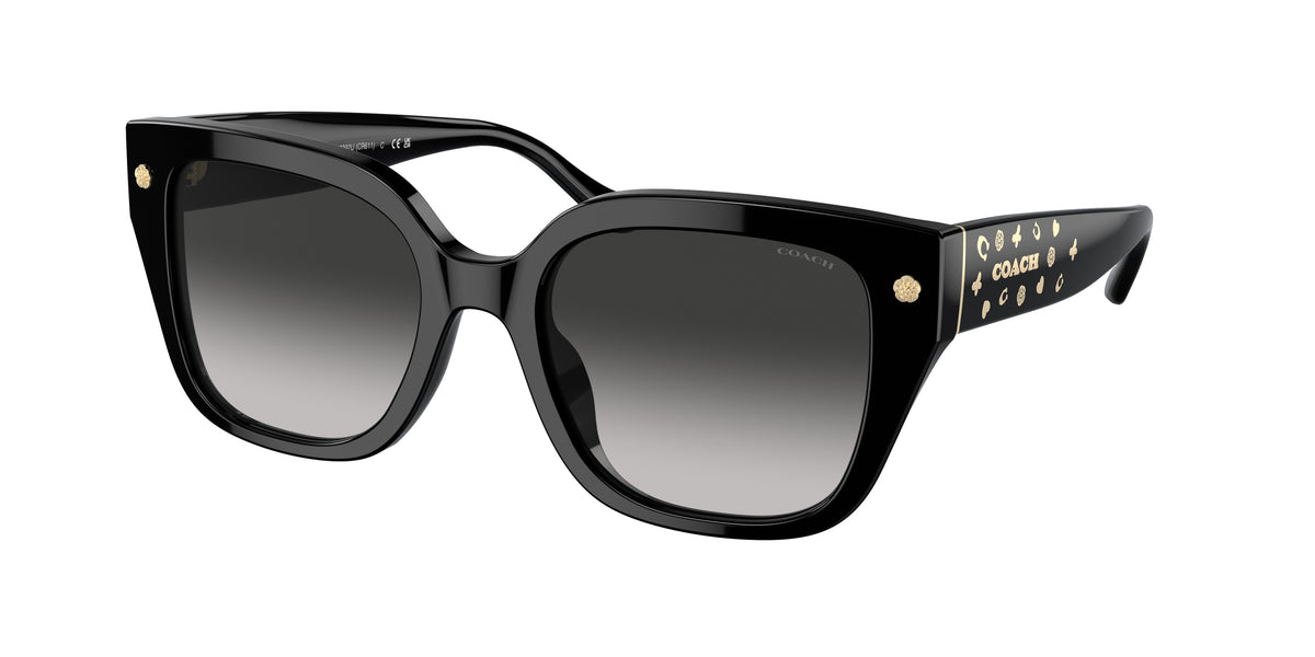 Coach HC8392U Black Sunglasses