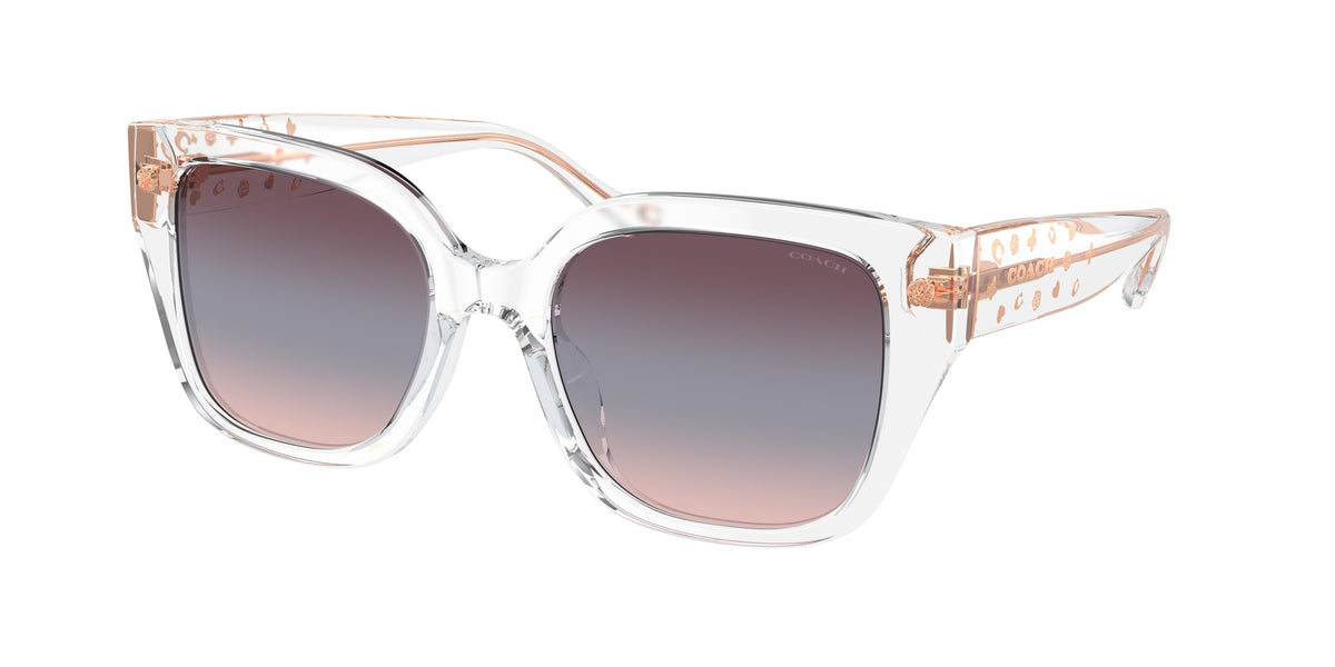 Coach HC8392U Transparent Clear Sunglasses