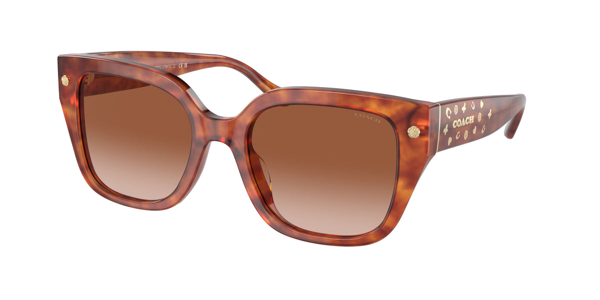 Coach HC8392U Caramel Tortoise Sunglasses