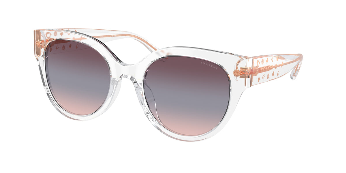 Coach HC8393U Transparent Clear Sunglasses