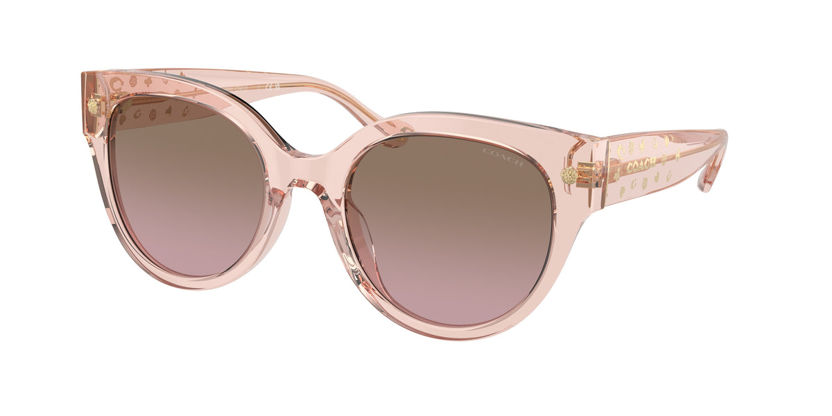 Coach HC8393U Transparent Dusty Rose Sunglasses