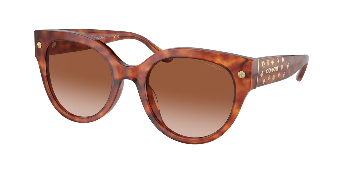 Coach HC8393U Caramel Tortoise Sunglasses