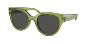 Coach HC8393U Transparent Key Lime Sunglasses