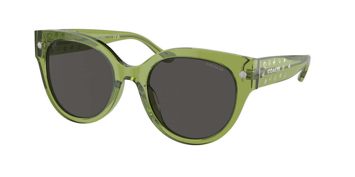 Coach HC8393U Transparent Key Lime Sunglasses