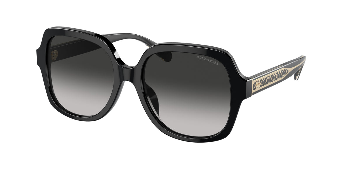 Coach HC8395F Black Sunglasses