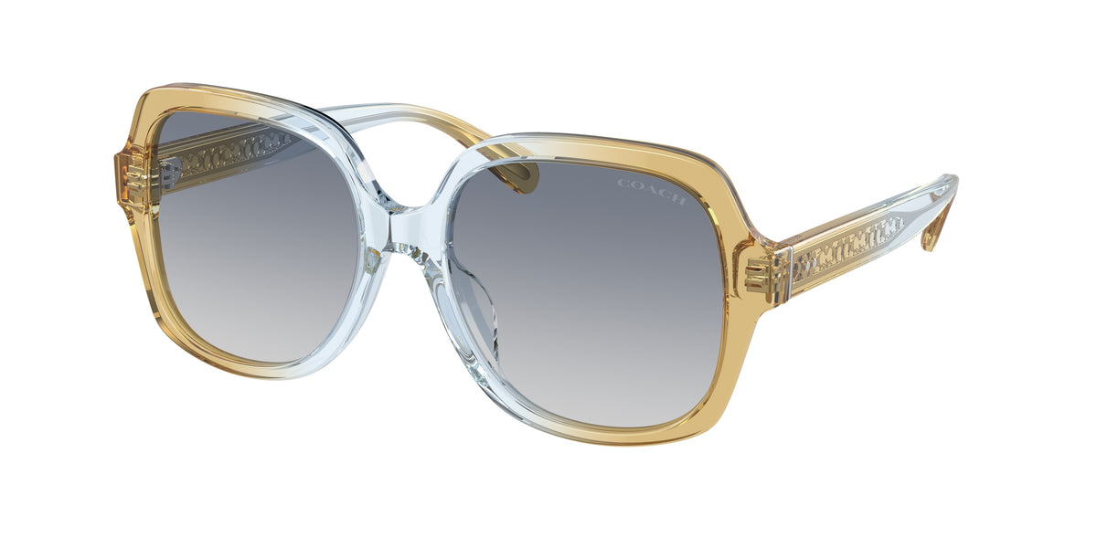 Coach HC8395U Cider/Baby Blue Sunglasses