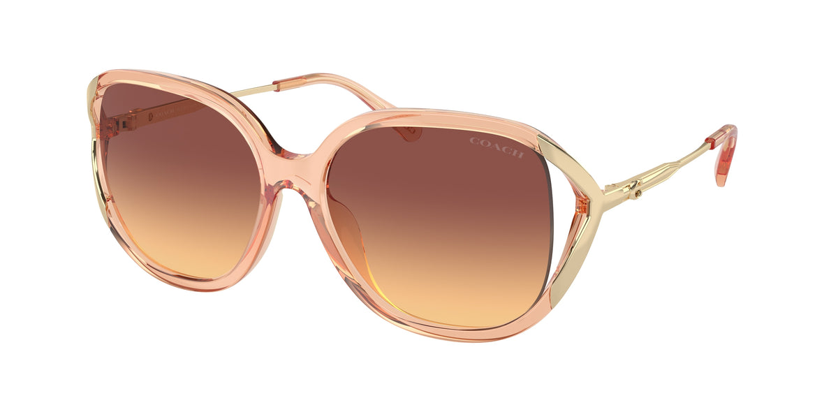 Coach HC8396U Transparent Champagne Sunglasses