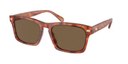 Coach HC8397U Caramel Tortoise Sunglasses