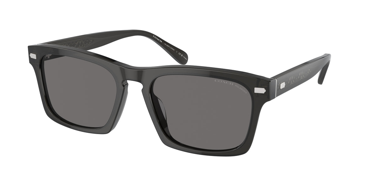 Coach HC8397U Transparent Dark Grey Sunglasses