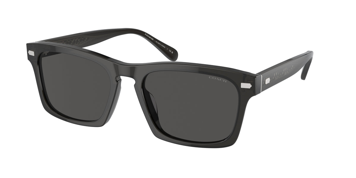 Coach HC8397U Transparent Dark Grey Sunglasses