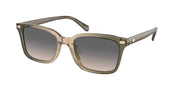 Coach HC8398U Olive Tan Gradient Sunglasses