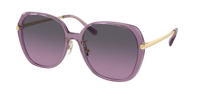 Coach HC8403D Sunglasses