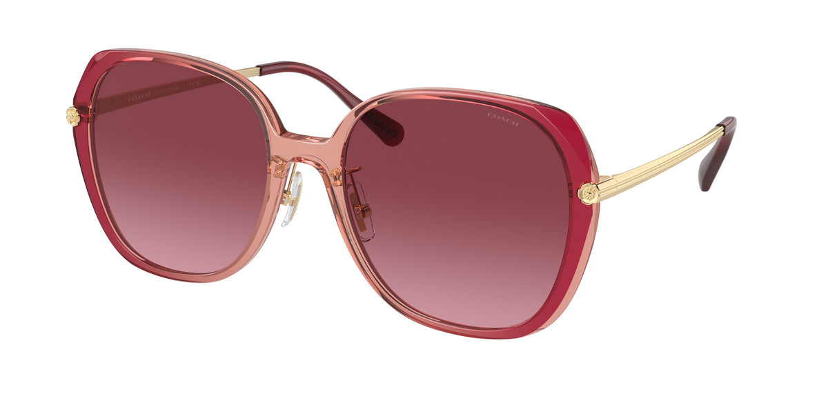 Coach HC8403D Burgundy/Pink Gradient Sunglasses