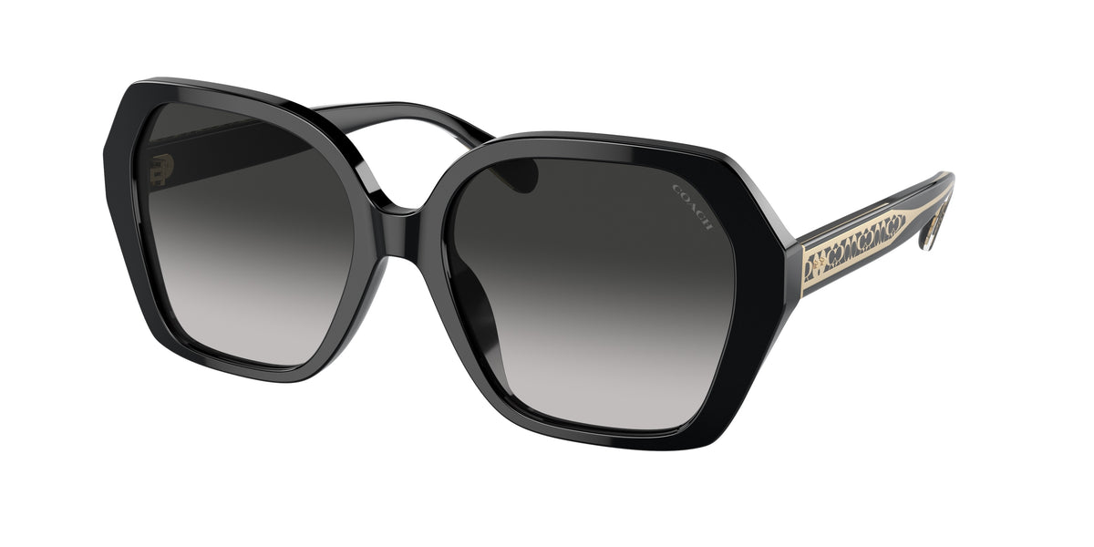Coach HC8404U Black Sunglasses
