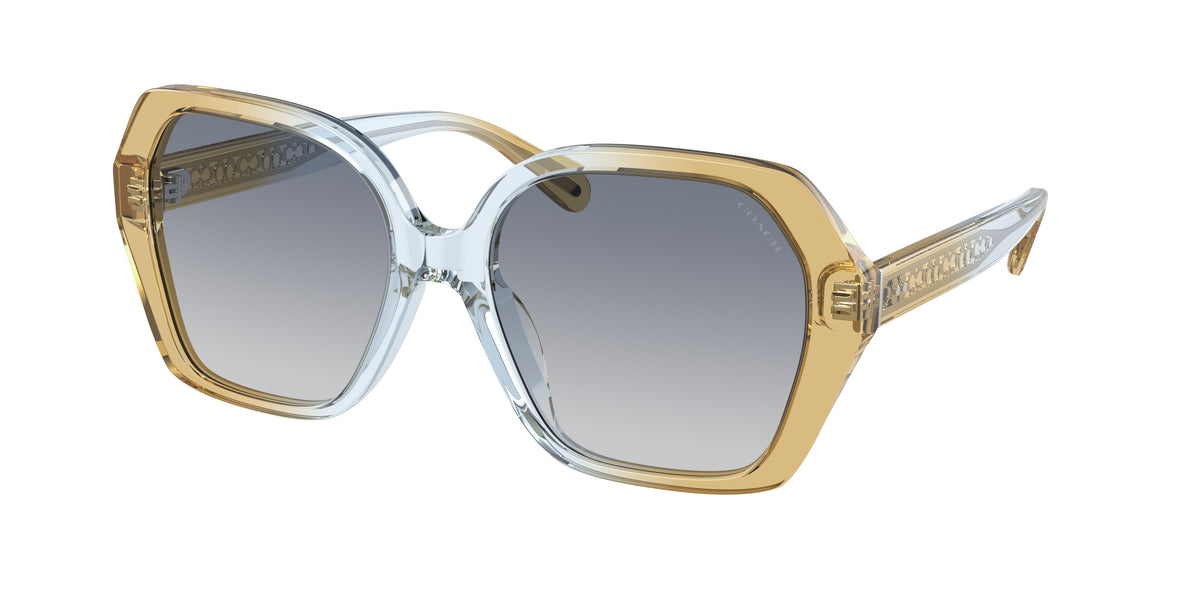 Coach HC8404U Cider/Baby Blue Sunglasses