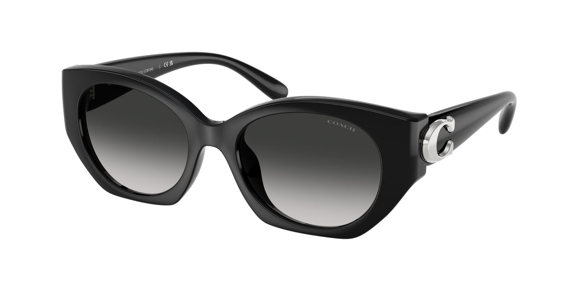 Coach HC8407U Black Sunglasses
