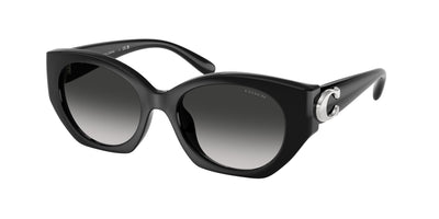 Coach HC8407U Sunglasses