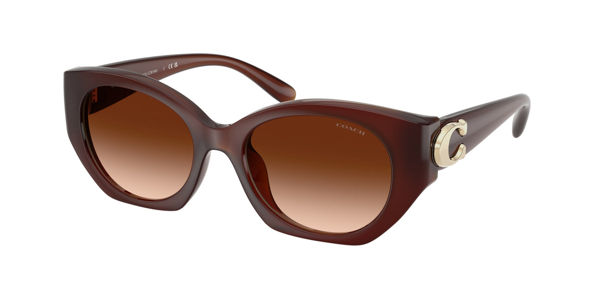 Coach HC8407U Milky Hazelnut Sunglasses