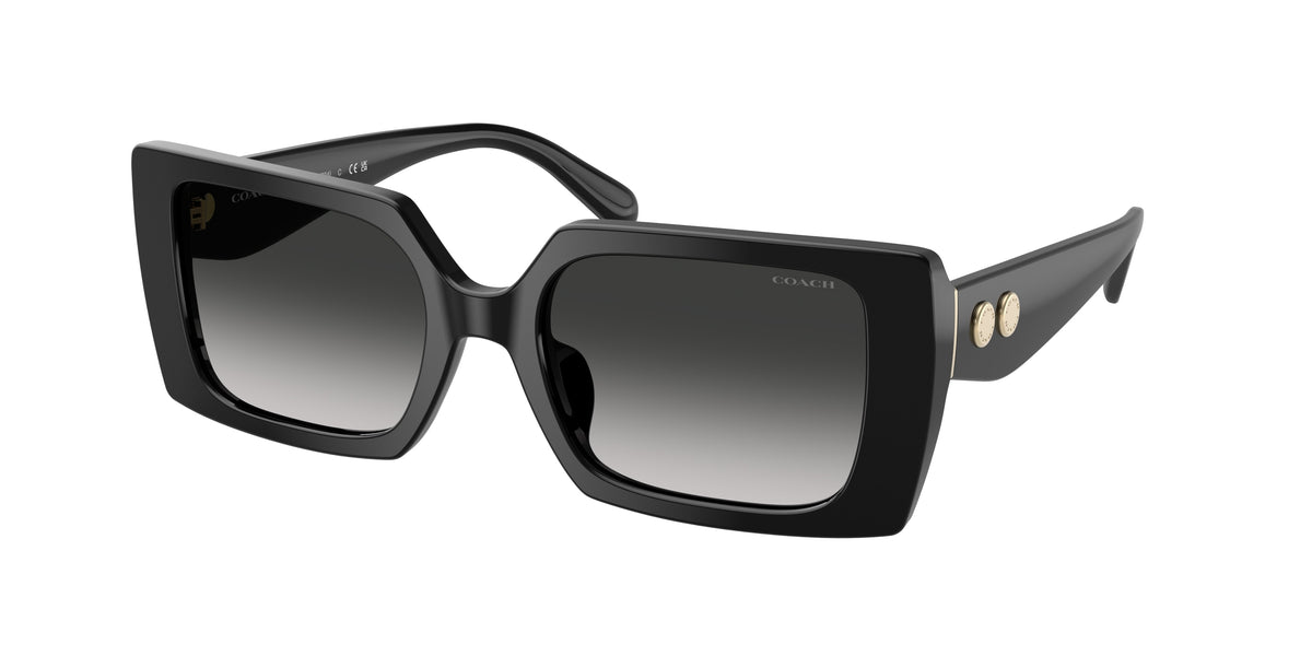 Coach HC8409U Black Sunglasses
