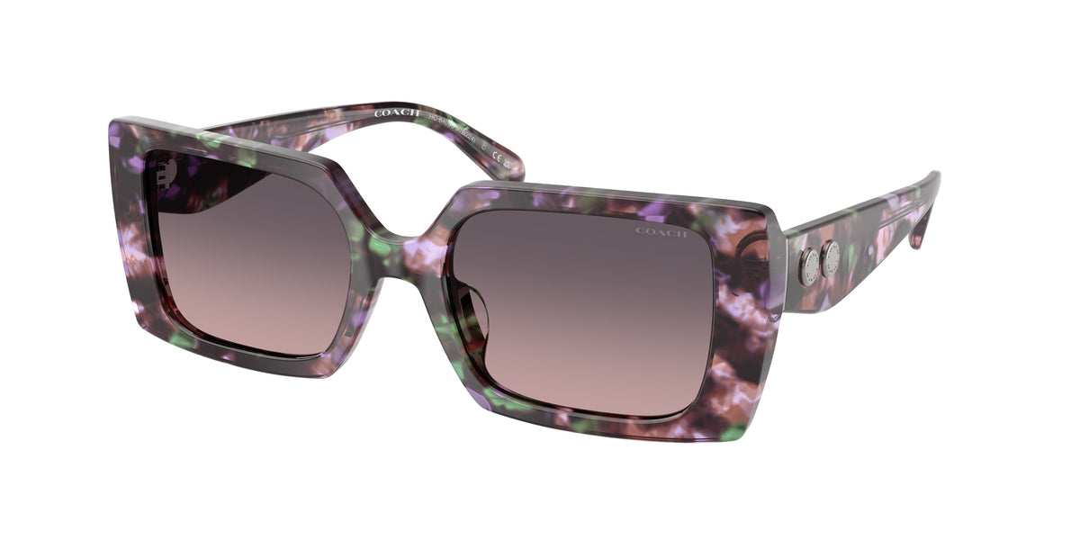 Coach HC8409U Amethyst Pearl Tortoise Sunglasses