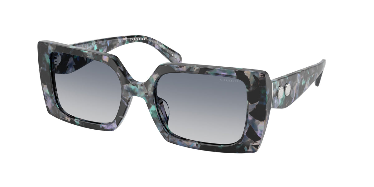 Coach HC8409U Blue Pearl Tortoise Sunglasses