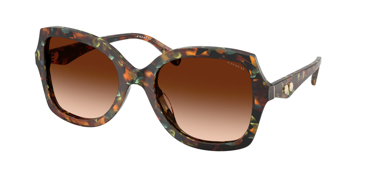 Coach HC8410U Jade Pearl Tortoise Sunglasses