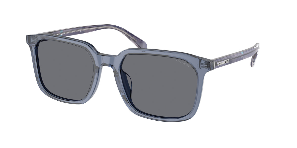 Coach HC8411U Transparent Blue Sunglasses