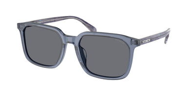 Coach HC8411U Sunglasses