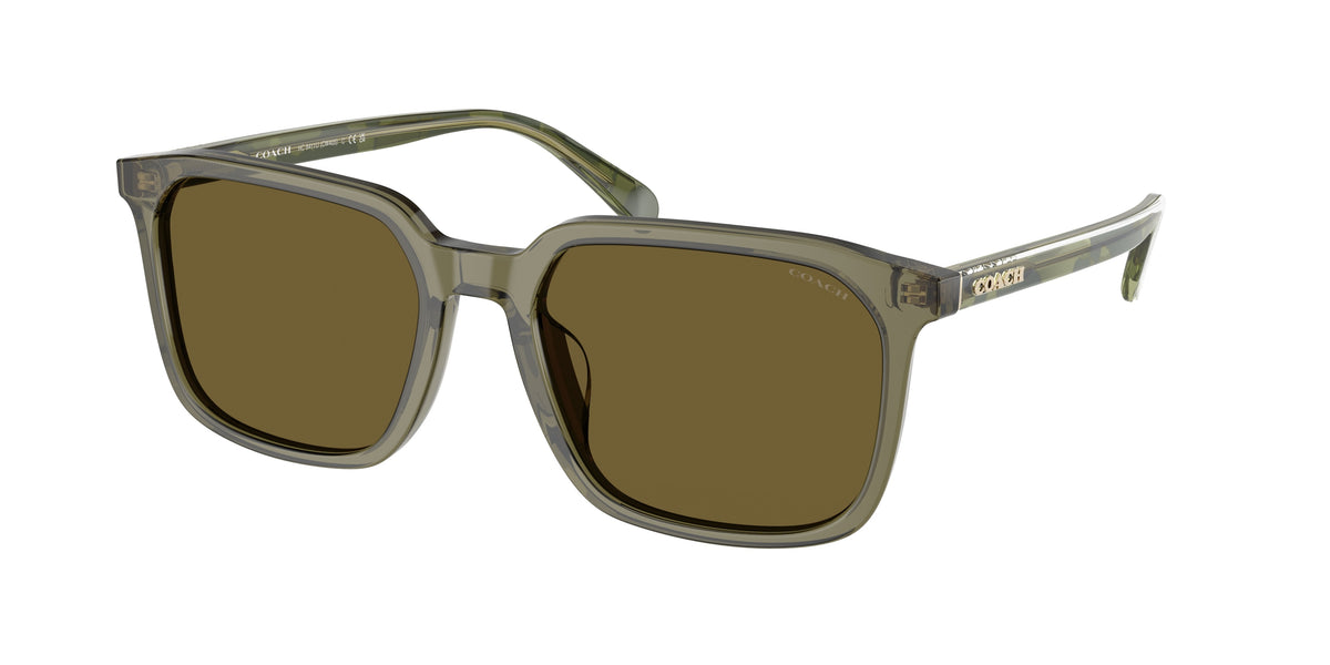Coach HC8411U Transparent Olive Sunglasses