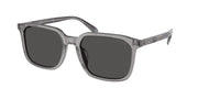 Coach HC8411U Transparent Grey Sunglasses