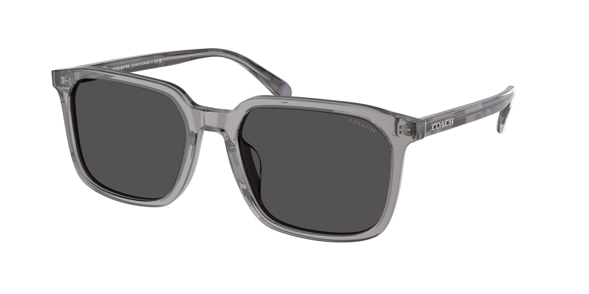 Coach HC8411U Transparent Grey Sunglasses
