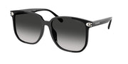 Coach HC8413BD Black Sunglasses