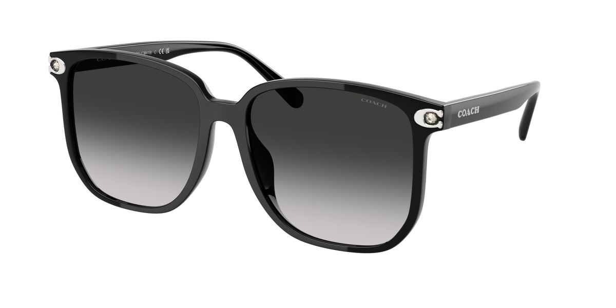 Coach HC8413BD Black Sunglasses