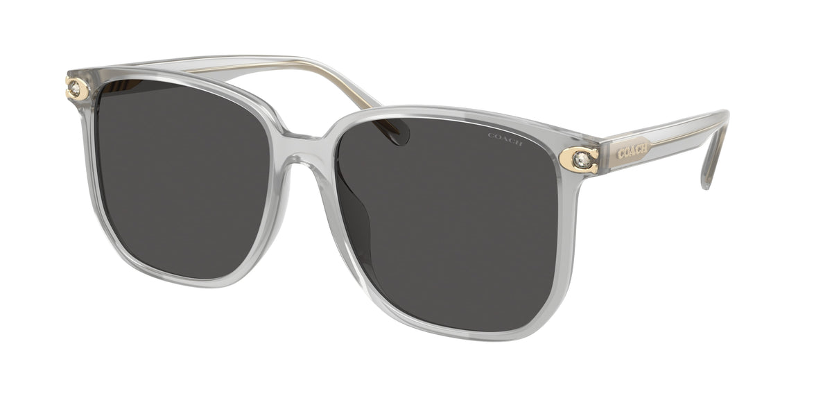 Coach HC8413BD Transparent Dove Sunglasses