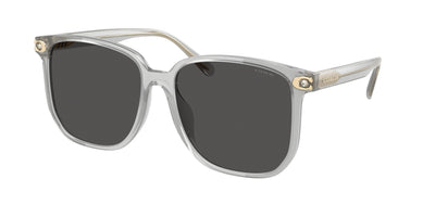 Coach HC8413BD Sunglasses
