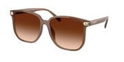 Coach HC8413BD Milky Brown Sunglasses