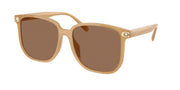 Coach HC8413BD Milky Tea Sunglasses