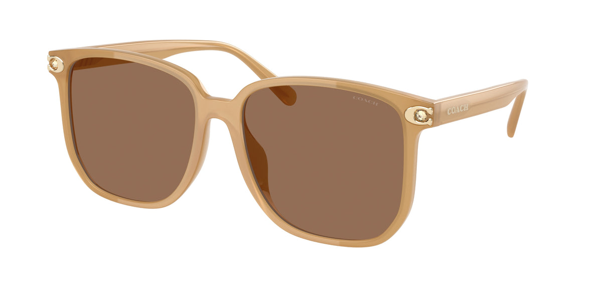 Coach HC8413BD Milky Tea Sunglasses