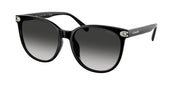 Coach HC8414BD Black Sunglasses